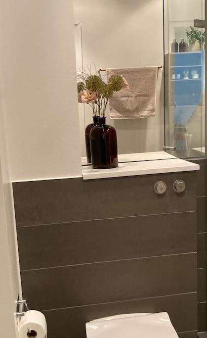 Skon Lejlighed Pa Frederiksberg Copenhagen